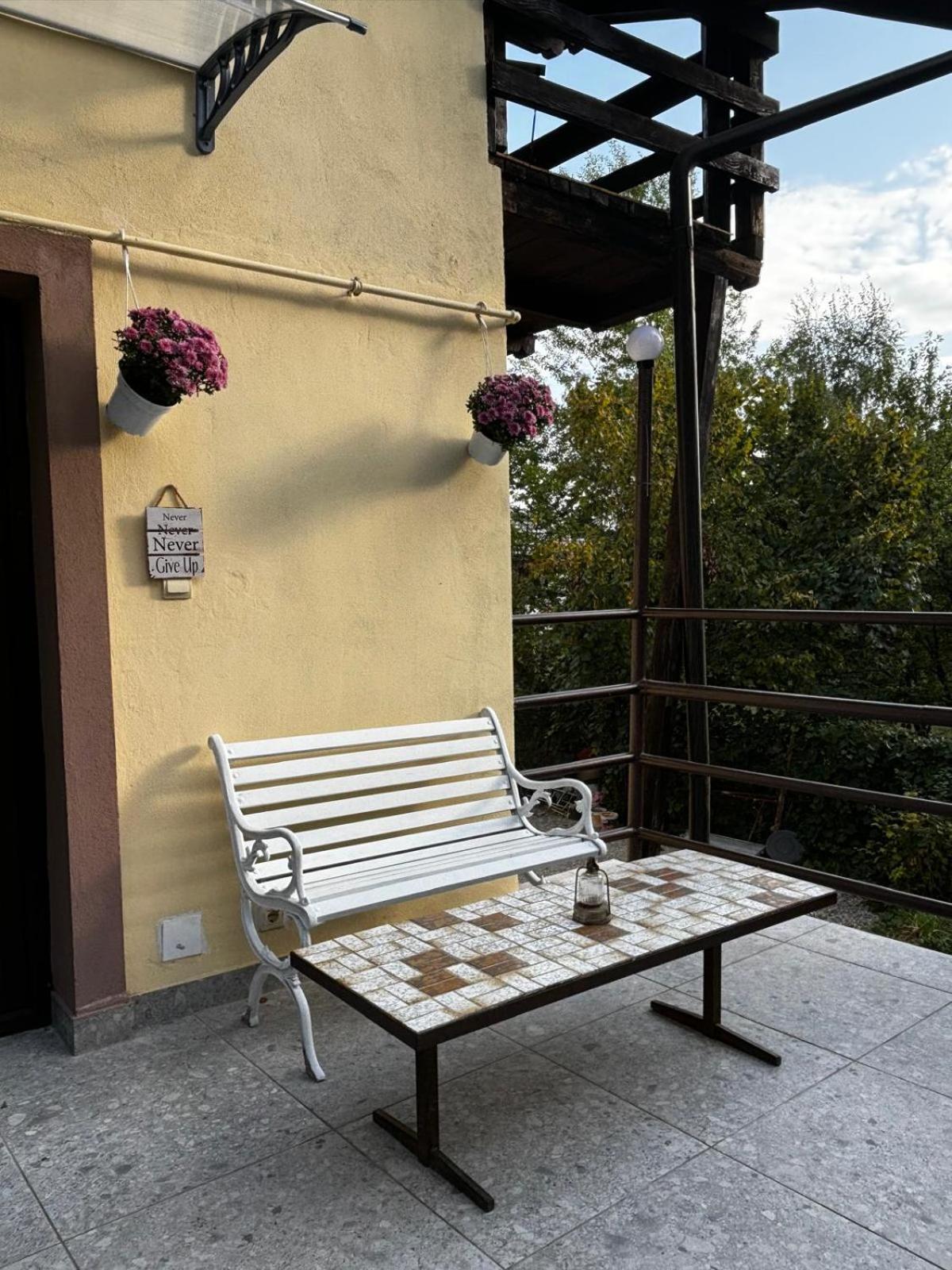 Casa Cu Padure Villa บราซา ภายนอก รูปภาพ