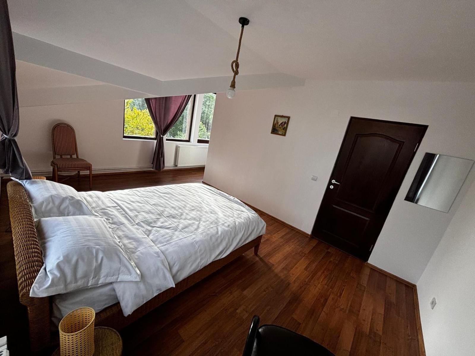 Casa Cu Padure Villa บราซา ภายนอก รูปภาพ