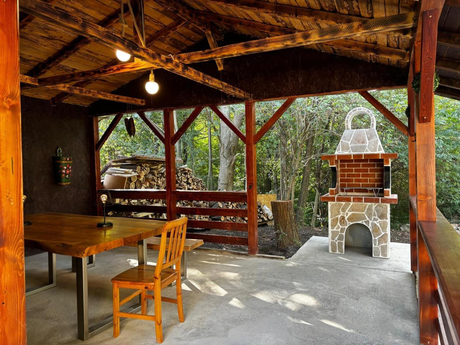 Casa Cu Padure Villa บราซา ภายนอก รูปภาพ