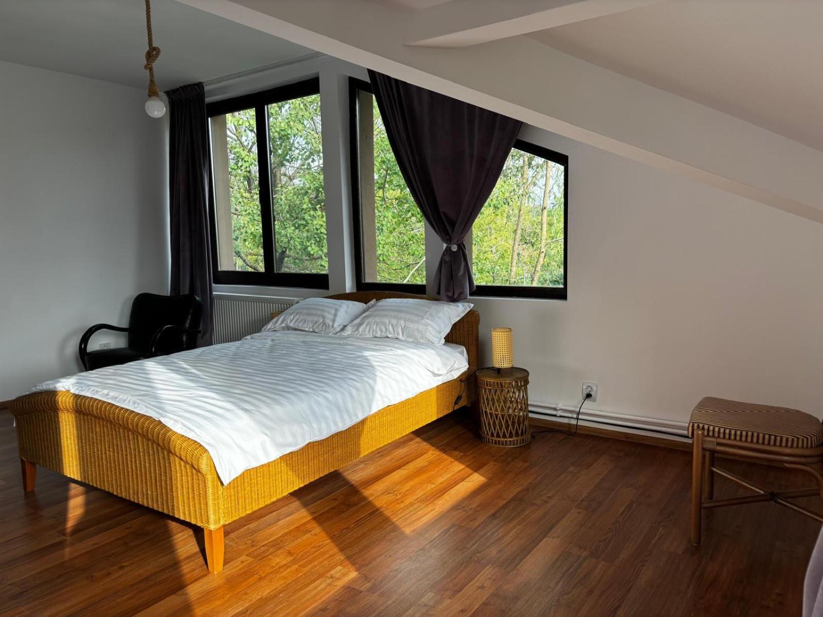 Casa Cu Padure Villa บราซา ภายนอก รูปภาพ