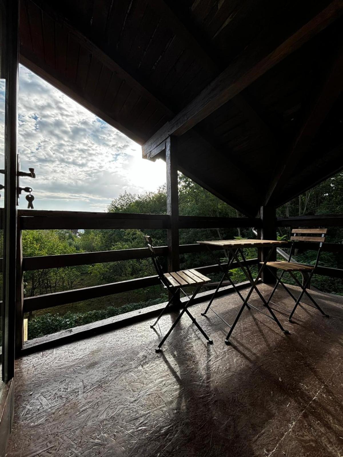Casa Cu Padure Villa บราซา ภายนอก รูปภาพ