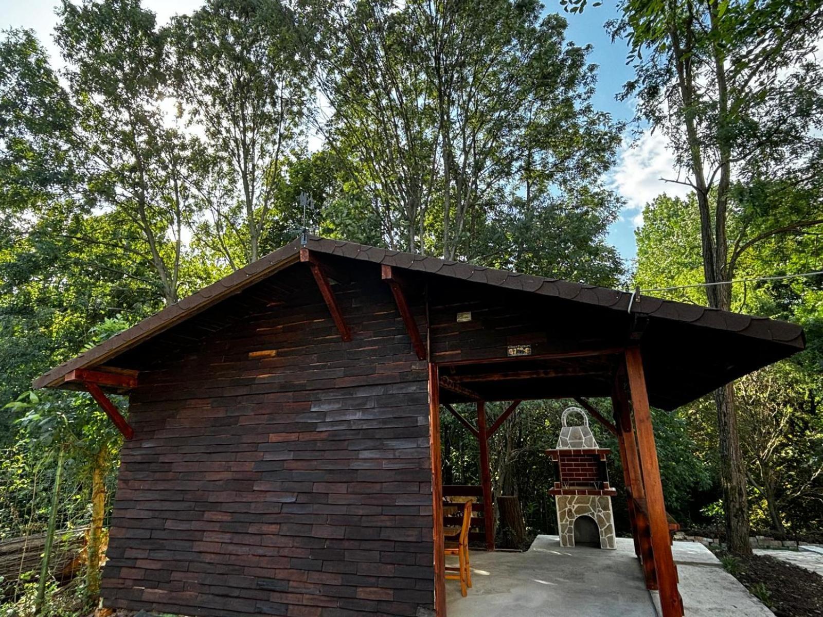 Casa Cu Padure Villa บราซา ภายนอก รูปภาพ